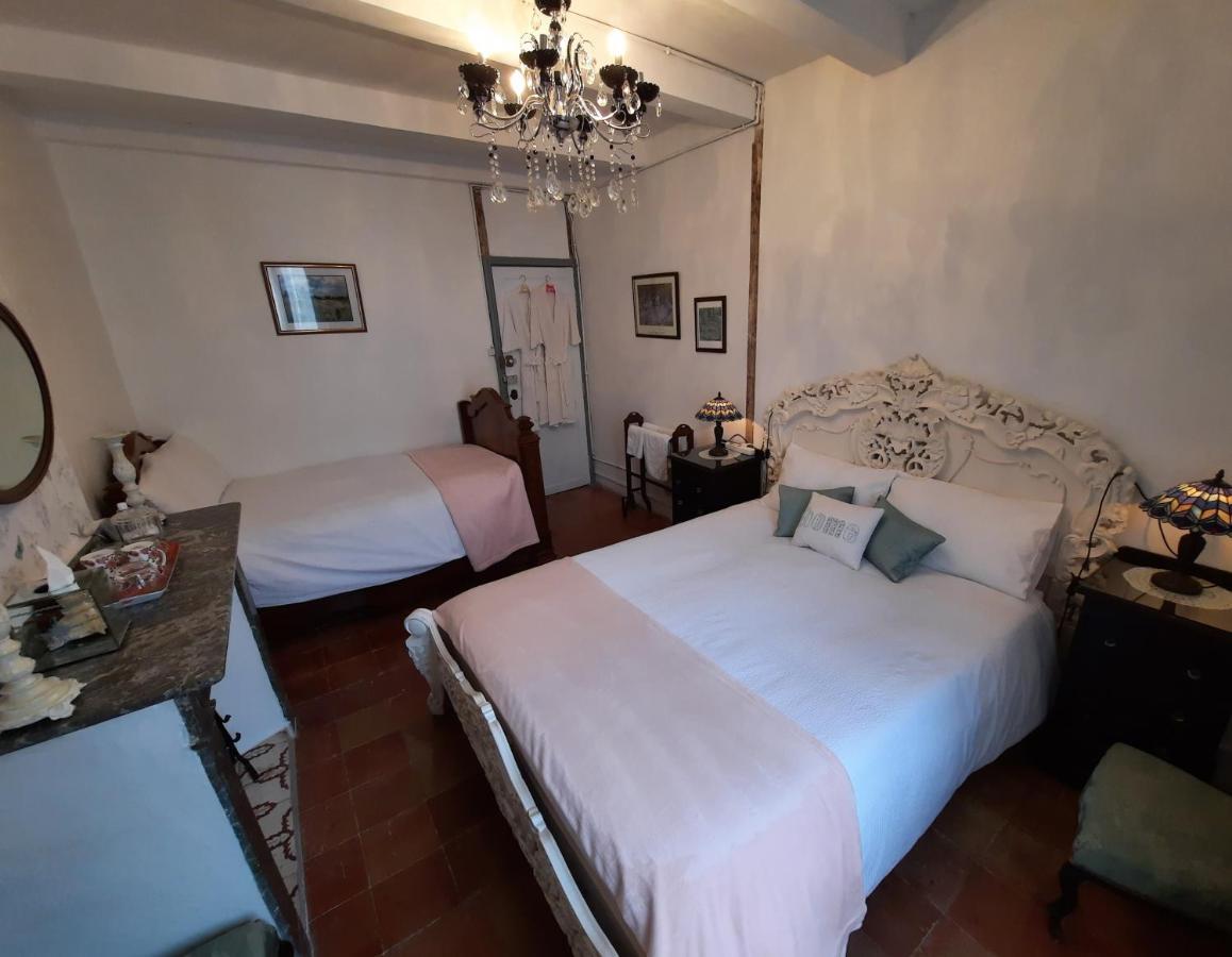 Maison Du Coquelicot Tourouzelle Zewnętrze zdjęcie